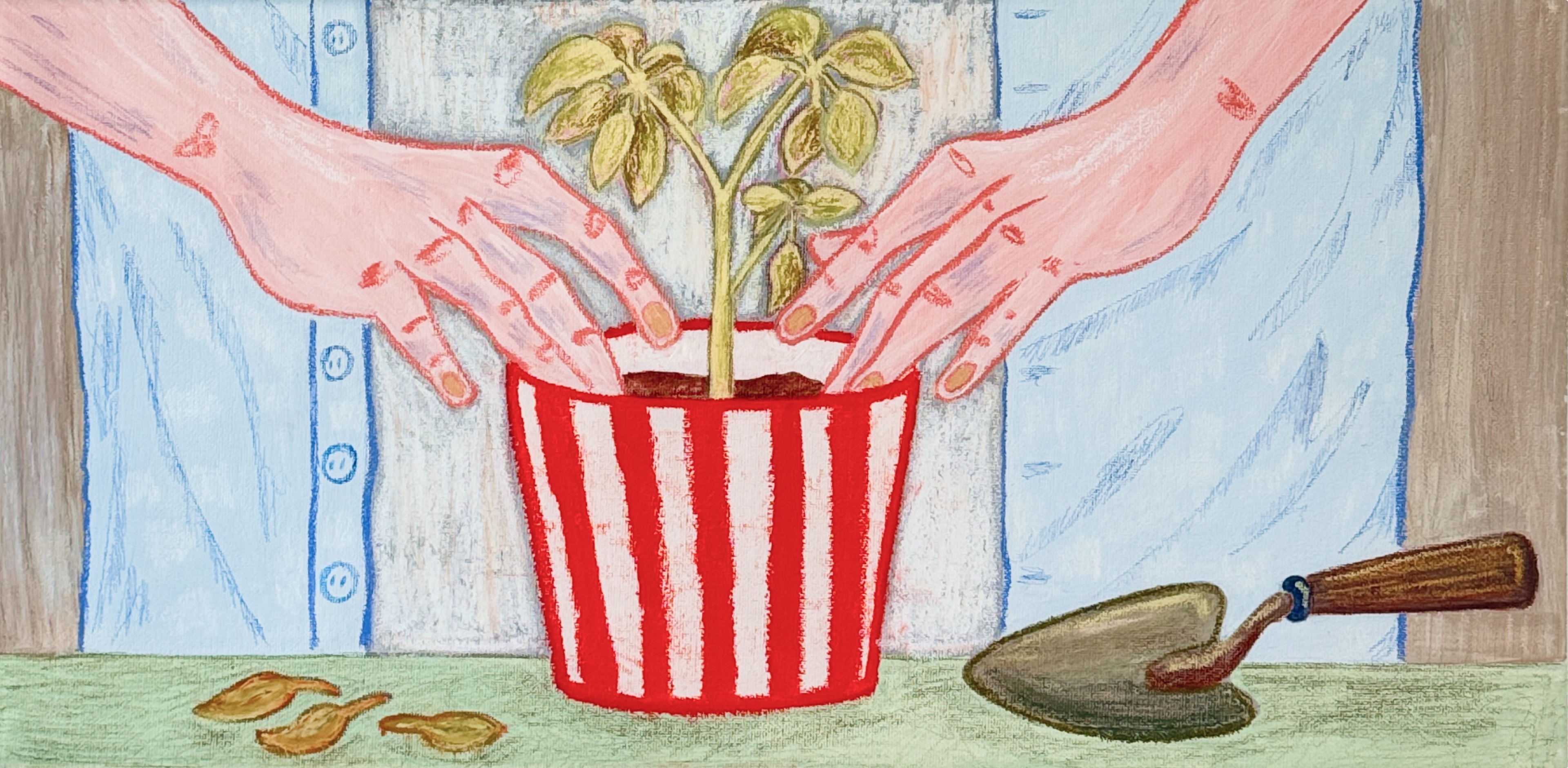 две руки пересаживают растение в красный полосатый горшок на фоне голубой рубашки с использованием гуаши масляной пастели и карандашей на холсте размером 50 на 30 сантиметров, гуашь