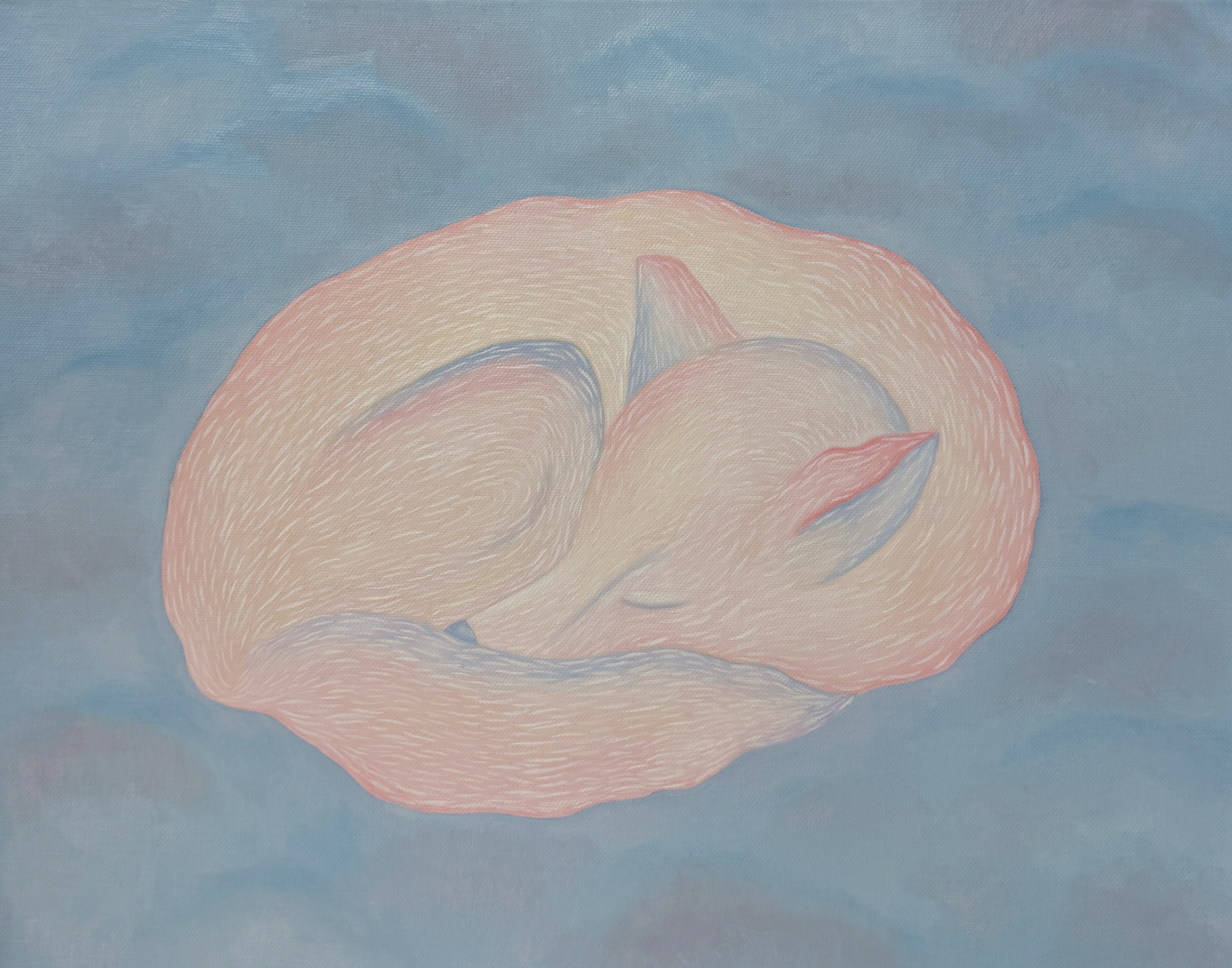 Спящая лиса, свернувшаяся клубком, в пастельных розовых и оранжевых тонах с голубыми тенями на светло-голубом фоне, масло, холст, 50 × 40 см