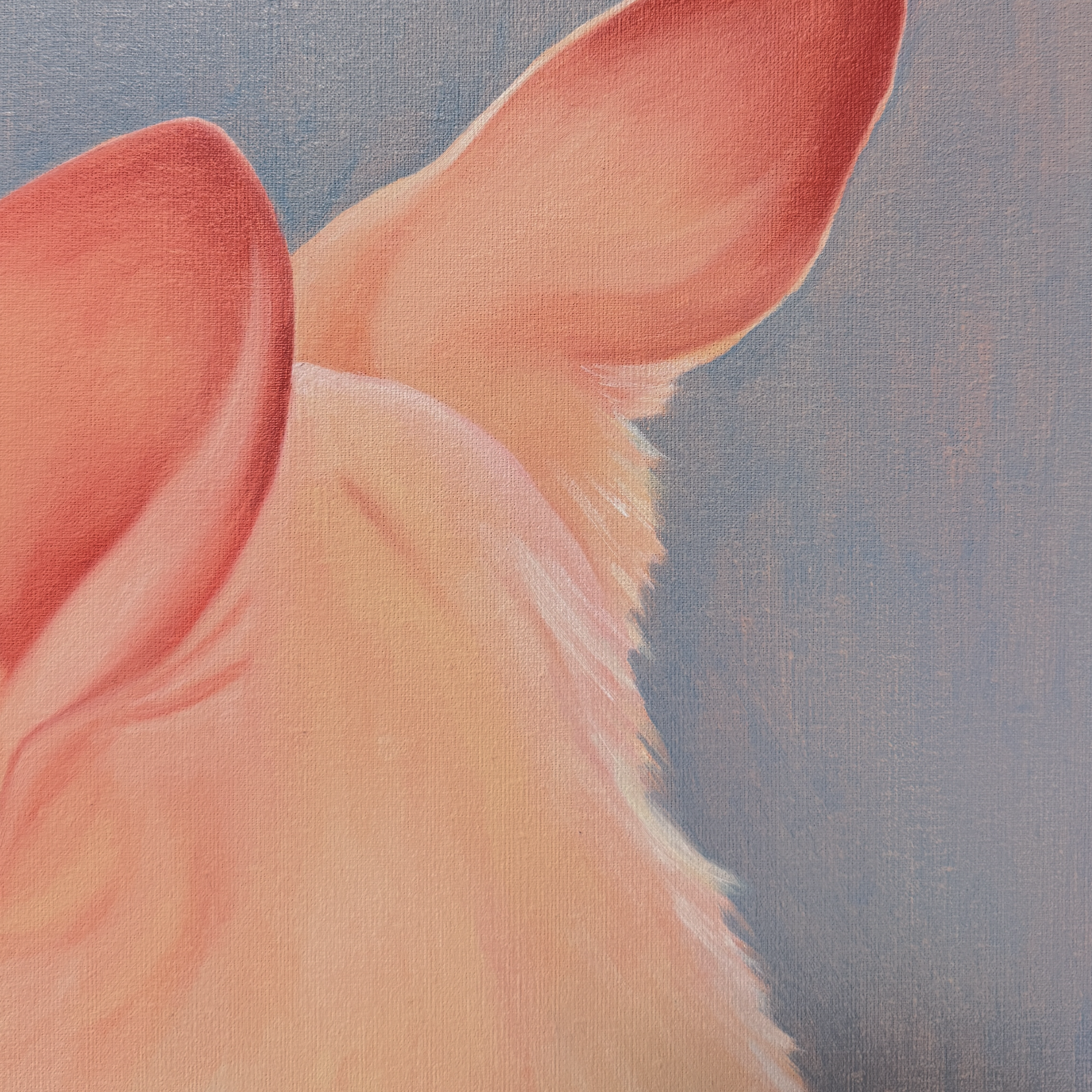 Фрагмент картины маслом на холсте с двумя розовыми ушами и светлой шерстью собаки на голубом фоне