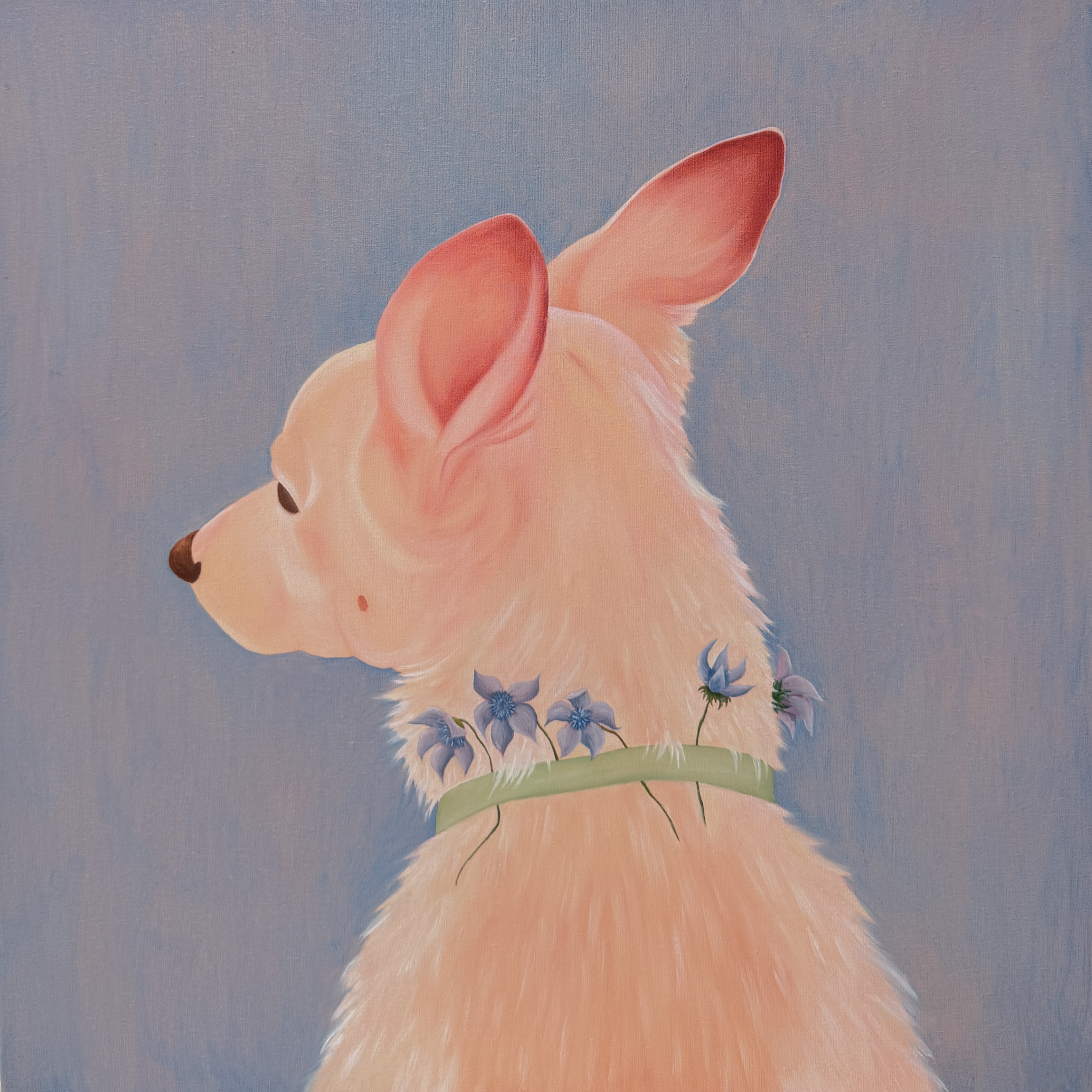 Картина маслом на холсте размером 50 на 50 сантиметров изображает собаку светло-персикового цвета в профиль на голубом фоне с зеленым ошейником и сиреневыми цветами